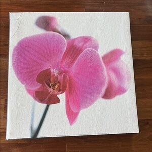 Pink Orchid Canvas Art